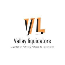 Valley Liquidators Auction